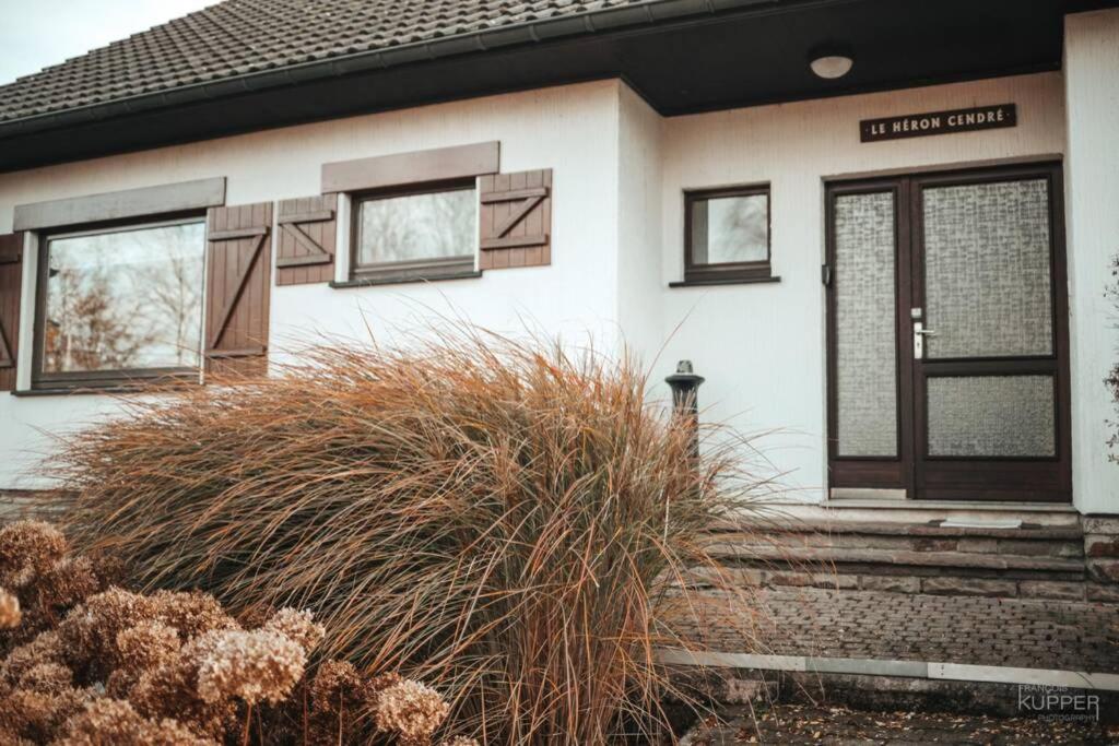 Le Héron 28pers, Malmedy- Home cinéma, balnéo, sauna, jardin Exterior foto