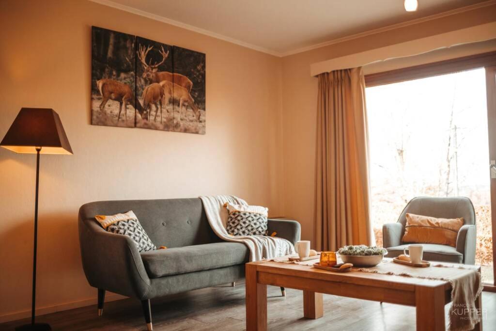 Le Héron 28pers, Malmedy- Home cinéma, balnéo, sauna, jardin Exterior foto